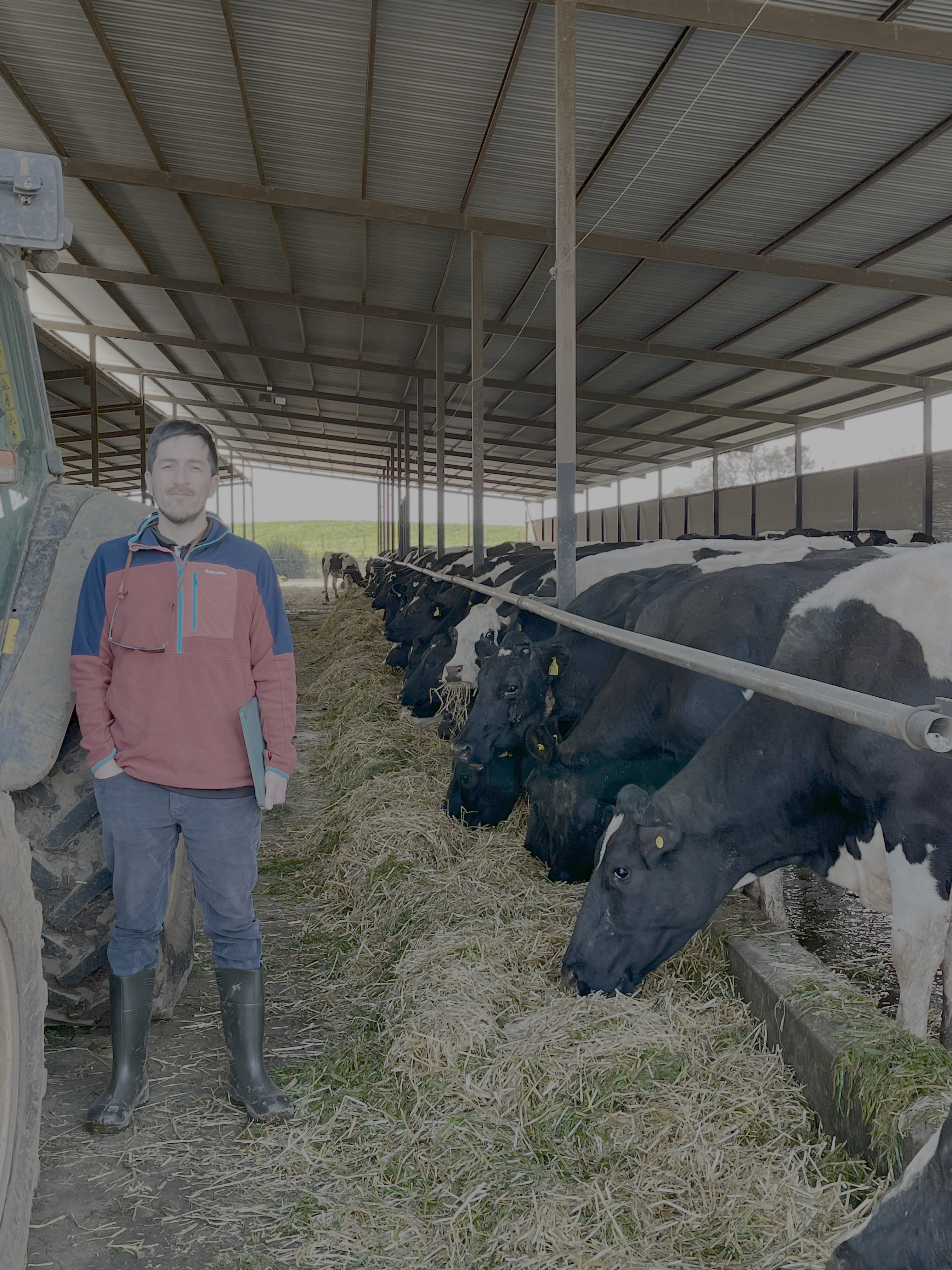Marcos Fernández en consultoría